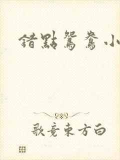 错点鸳鸯小说
