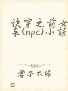 快穿之前女友归来(npc)小说免费阅读