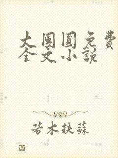 大团圆免费阅读全文小说