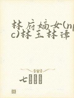 林府嫡女(npc)林玉林璋