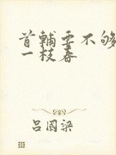 首辅要不够po一枝春