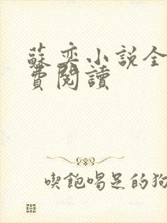 苏奕小说全文免费阅读