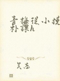 青梅从小摸到大补课h