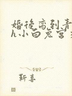 婚后脔到青梅哭h小白兔宫交h