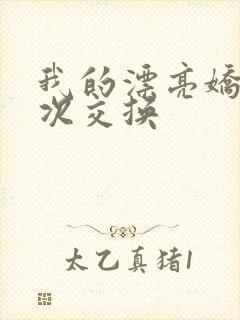 我的漂亮娇妻初次交换