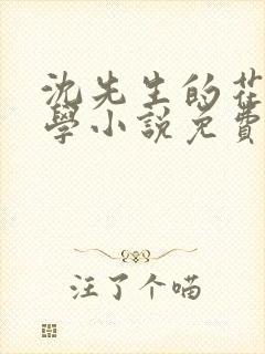 沈先生的花式教学小说免费