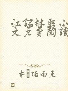 江铭林熙小说全文免费阅读