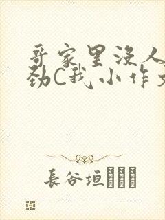 哥家里没人使点劲C我小作文