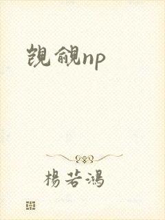 觊觎np