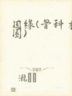 因缘(骨科 校园)