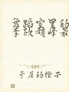 舞蹈室里的景色李欣赵峰最新章节