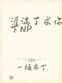 灌满了求你们停下NP