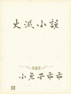 火灭小说