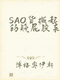 SAO货撅起你的贱屁股来