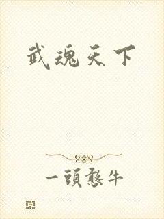 武魂天下