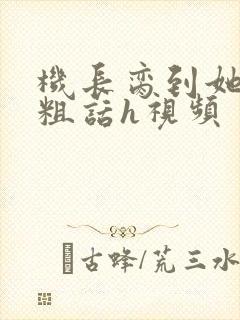 机长脔到她哭h粗话h视频