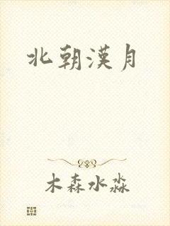 北朝汉月