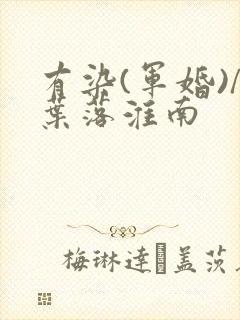 有染(军婚)/叶落淮南