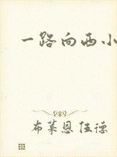 一路向西小说