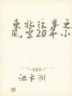 东北往事之黑道风云20年小说