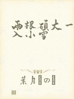 两根硕大一起挤入小雪