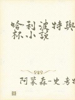 哈利波特与火焰杯小说