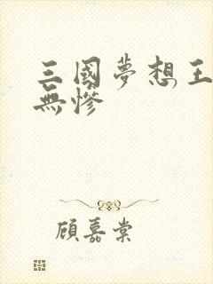 三国梦想王元姬无惨