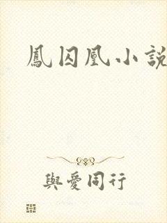 凤囚凰小说