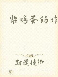 《柴鸡蛋的作品》小说封面