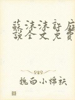 苏沫沫许庭川小说全文免费阅读