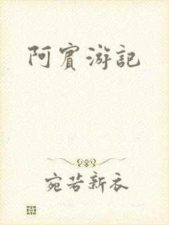 阿宾游记
