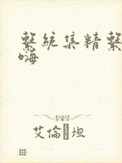 系统集精系统高嗨