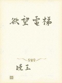 欲望电梯