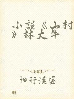 小说《山村情事》林大牛封面