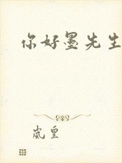 你好墨先生