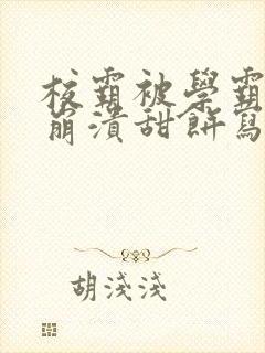 校霸被学霸玩到崩溃甜饼写手封面