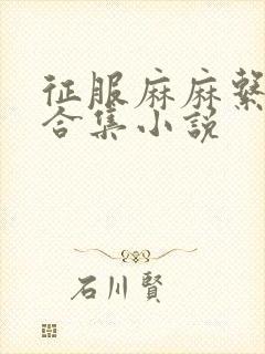 征服麻麻系列大合集小说