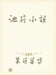 池莉小说