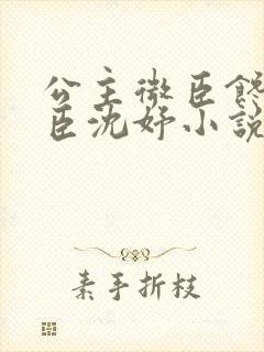 公主微臣馋了微臣沈妤小说