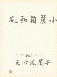 风和日丽小说