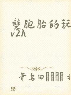 双胞胎的玩具1v2h