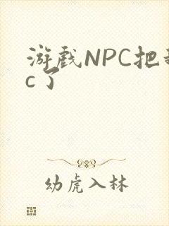 游戏NPC把我c了