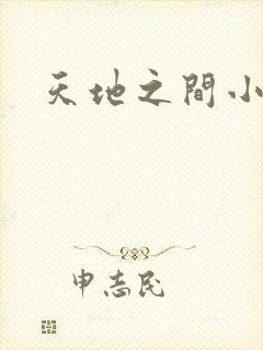 天地之间小说