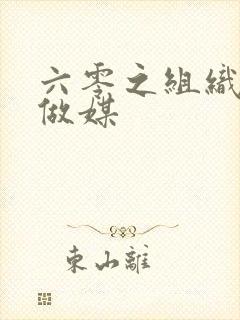 六零之组织给我做媒