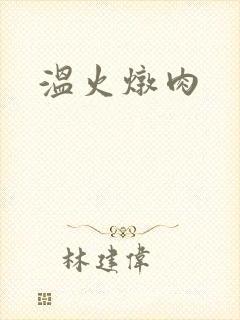 温火炖肉