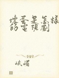 坏蛋是怎样炼成的电视剧