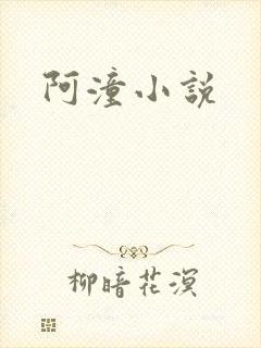 阿潼小说