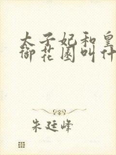 太子妃和皇帝在御花园叫什么小说