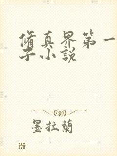 修真界第一病秧子小说