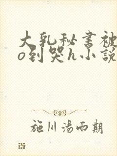 大乳秘书被cao到哭h小说